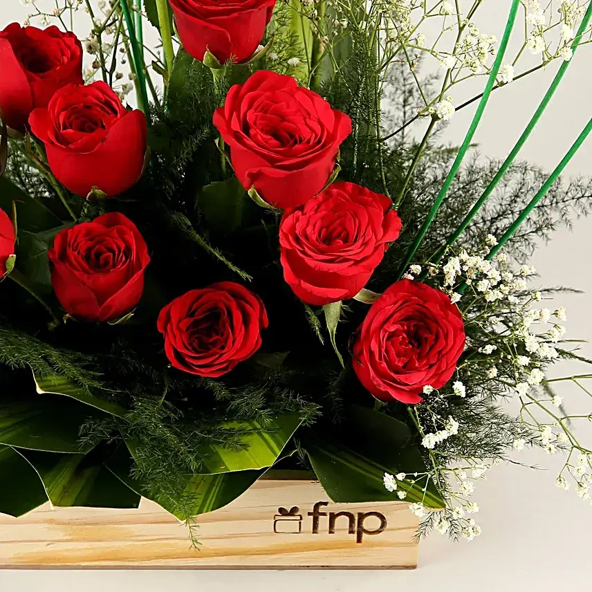 Classic Aura 15 Roses Arrangement