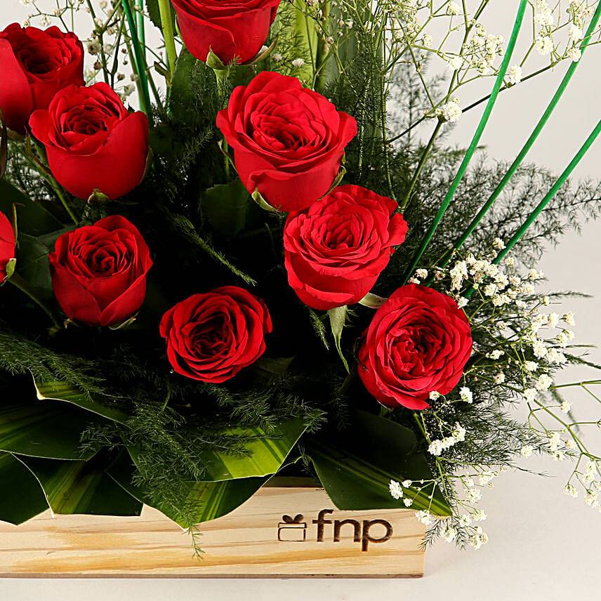 Classic Aura Red Roses Arrangement
