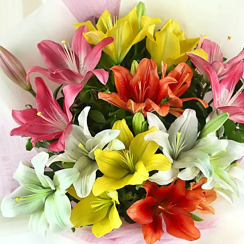 Pure Love- 8 Colourful Asiatic Lilies Bouquet