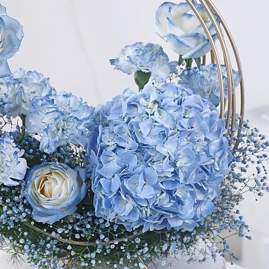 Crescent of Blue Dreams