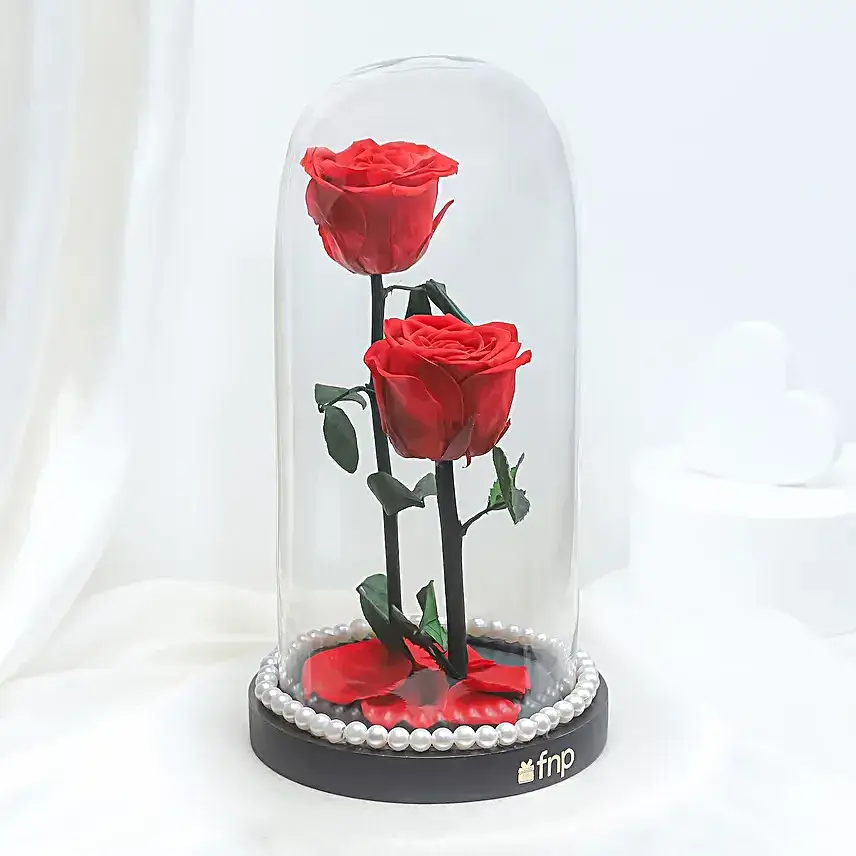 Crimson Love Red Forever Rose