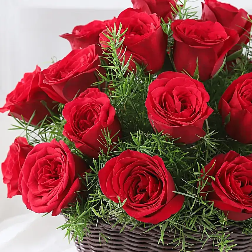 Crimson Rose Tribute
