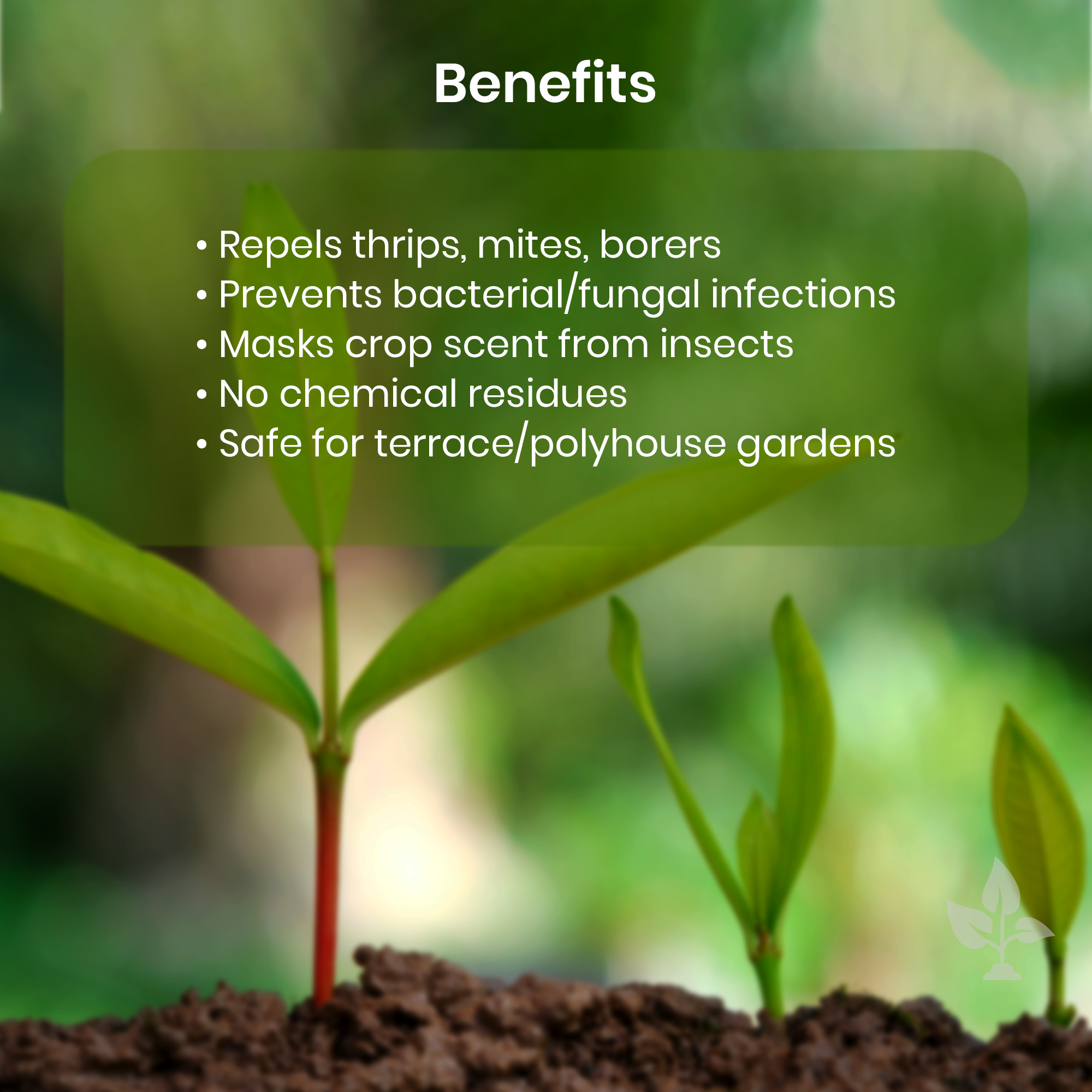 Cured – Organic Pest Control with Karanja & Garlic Oils