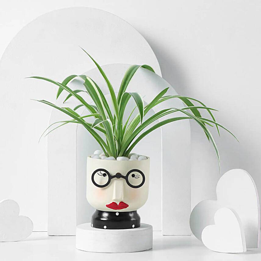 Daughter’s Day Plant Gift with Resin Pot