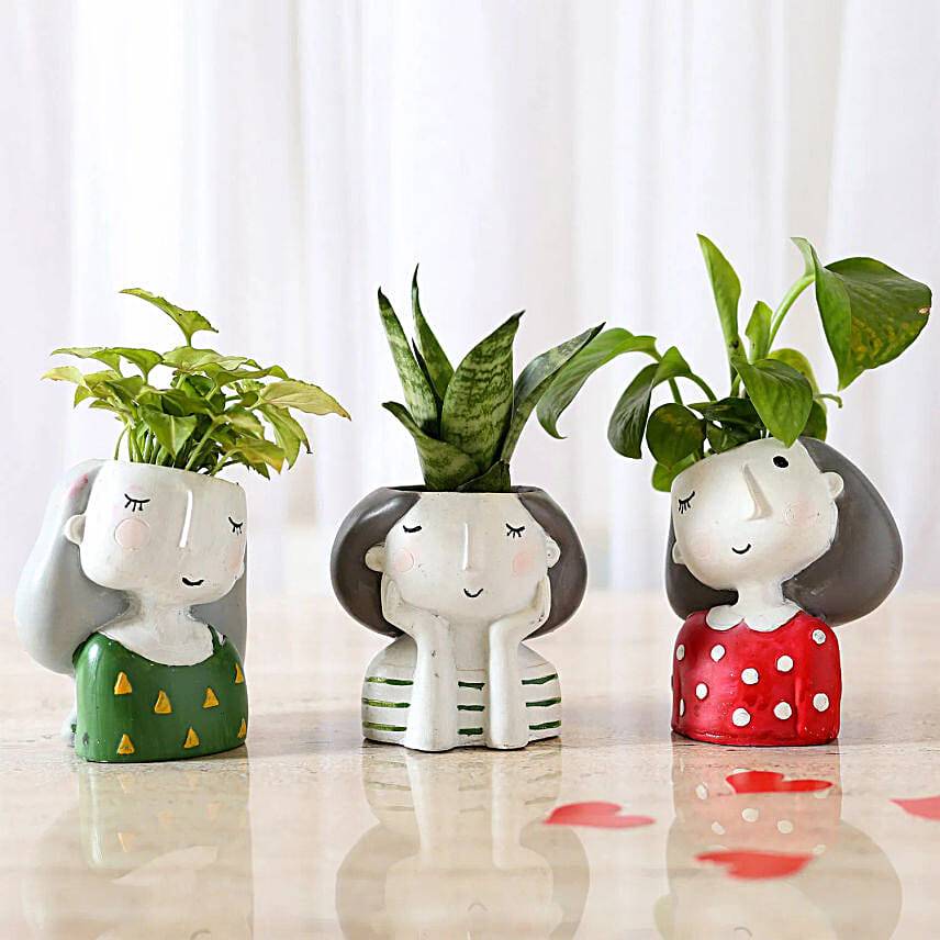 Daughter’s Day Resin Pot Trio with Green Plants