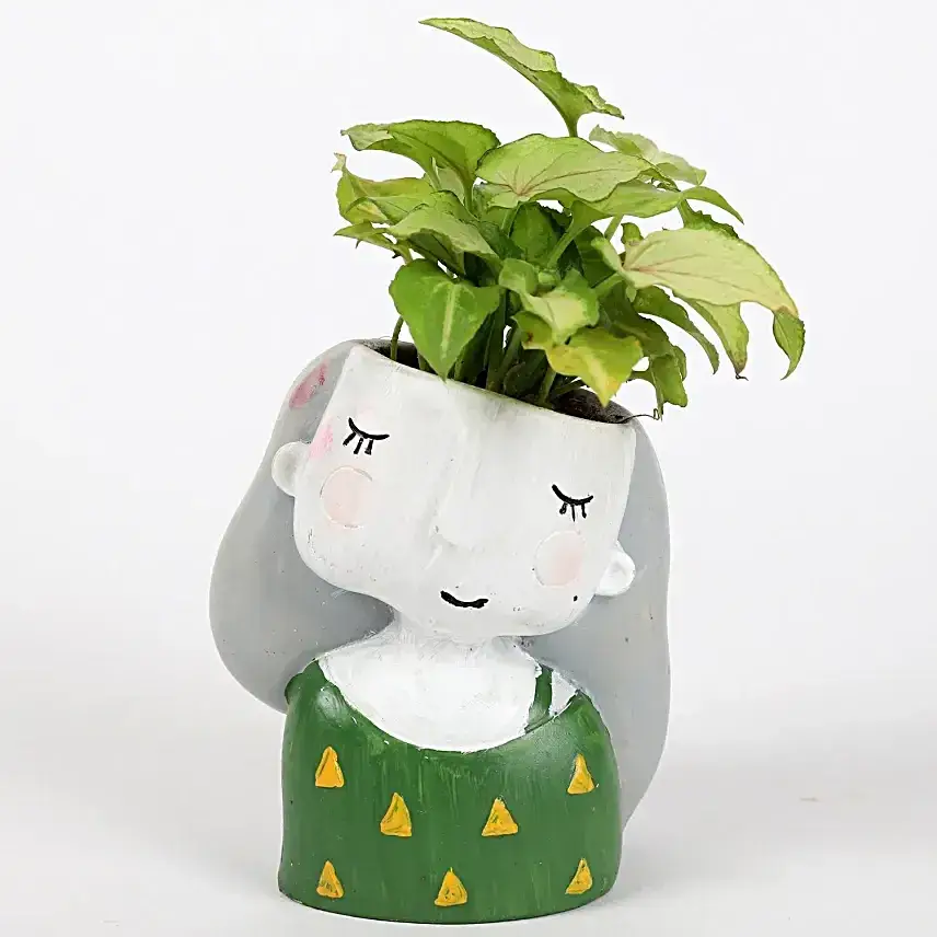 Daughter’s Day Resin Pot Trio with Green Plants