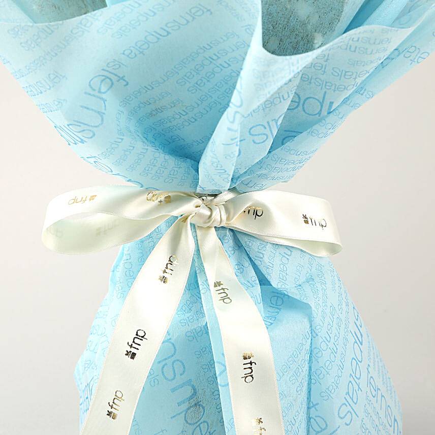 Dazzle With Simplicity Carnations Bouquet