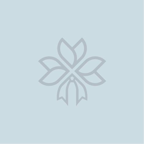 Chocolate Truffle Cake