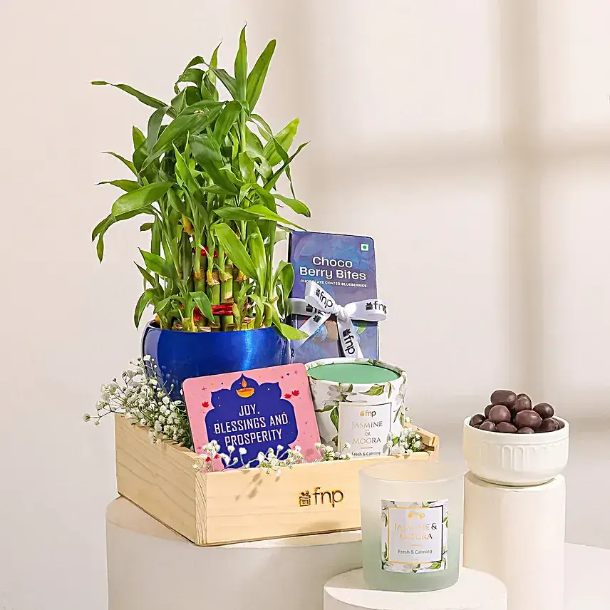 Diwali Plant N Chocolate Tray Hamper