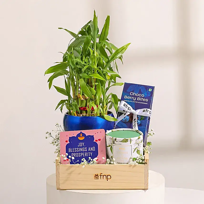 Diwali Plant N Chocolate Tray Hamper