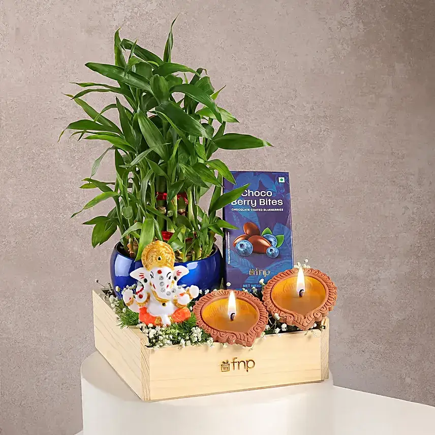 Diwali Plants of Prosperity Tray