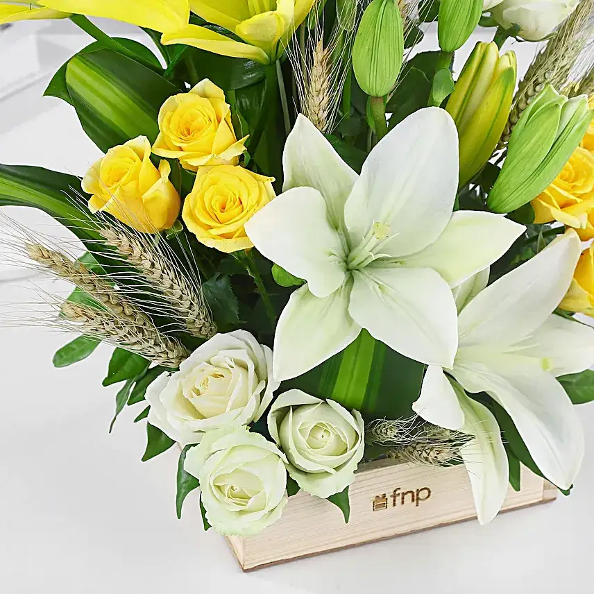 Elegant Bloom with Butterscotch Cake Combo
