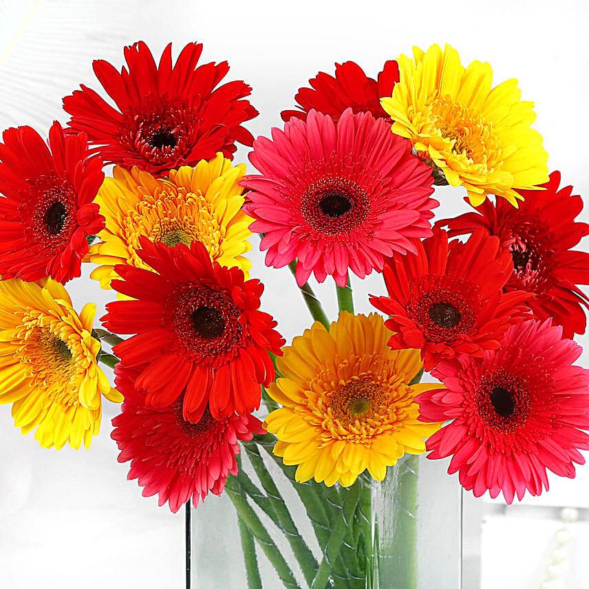 Elegant Gerberas Flower In Glass Vase