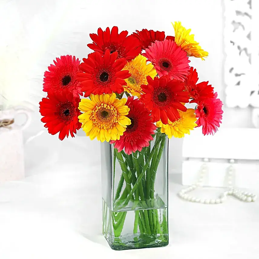 Elegant Gerberas Flower In Glass Vase