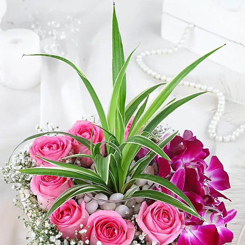 Orchid Whispers of Love
