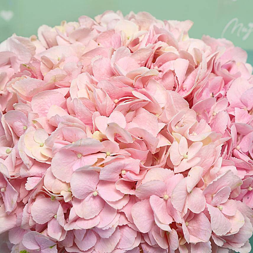 Exotic Vibes Hydrangea Bowl