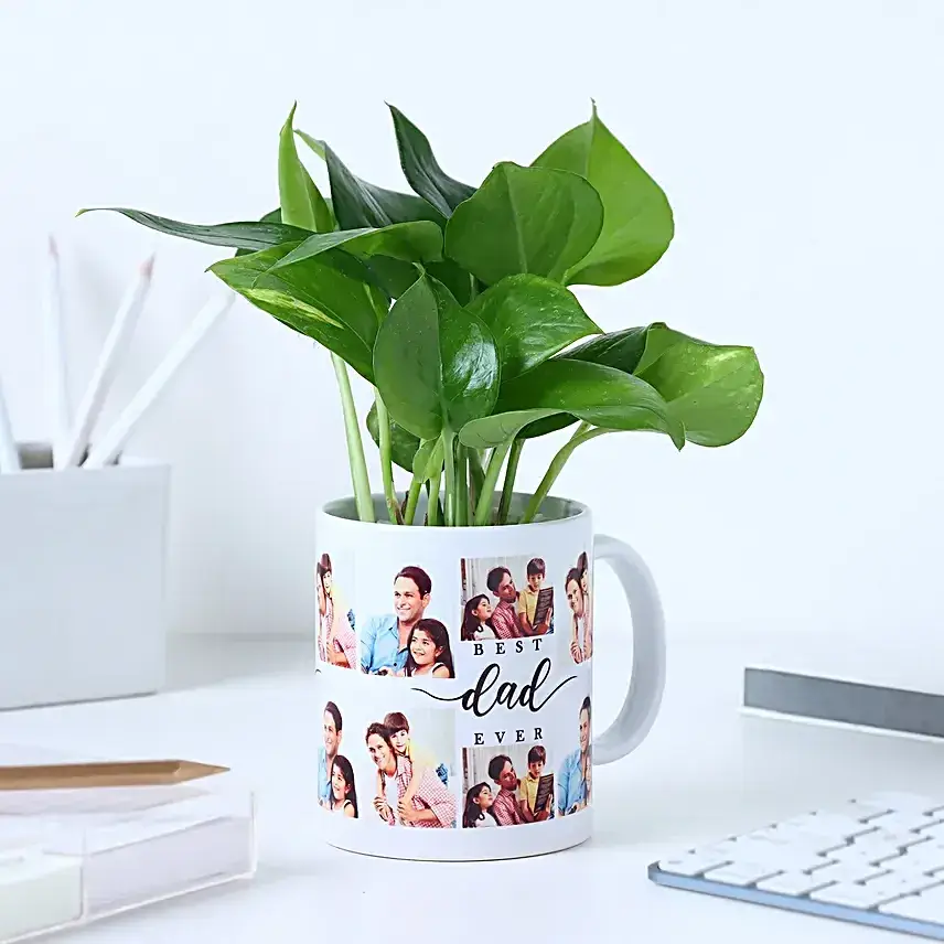 Father's Day Money Plant Surprise