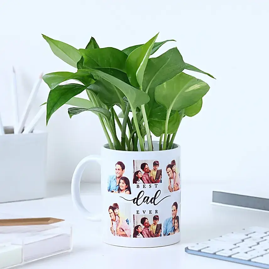 Father's Day Money Plant Surprise