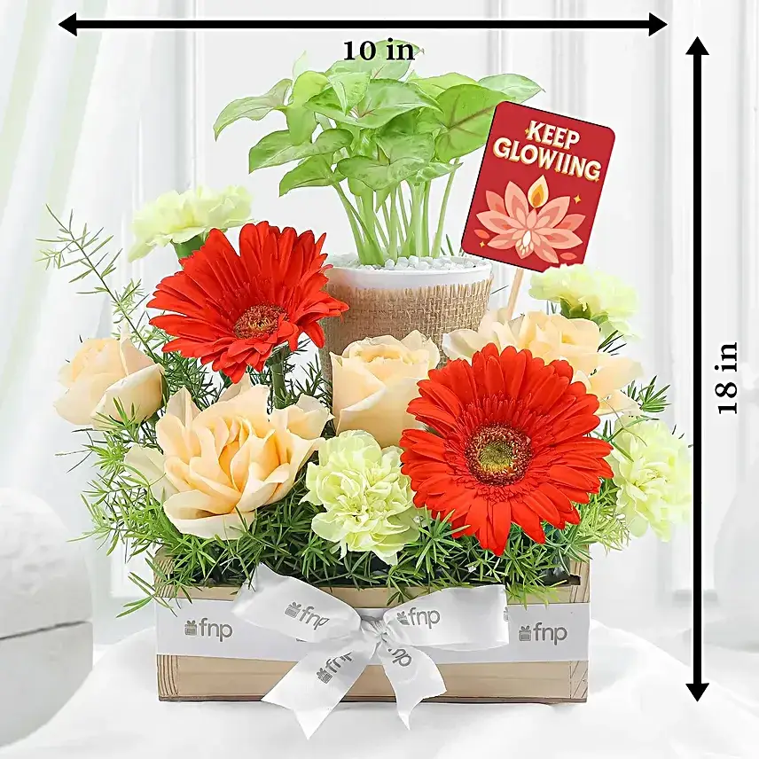 Festive Blooms n Golden Greens Hamper