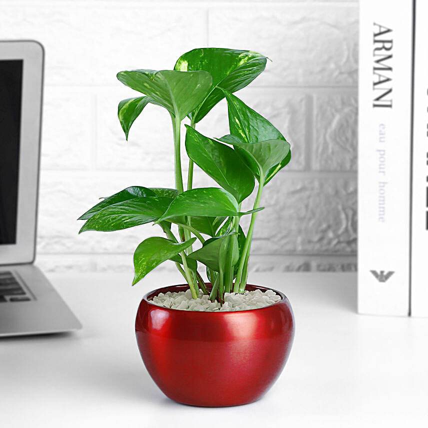 Festive Prosperity Ganesha Set