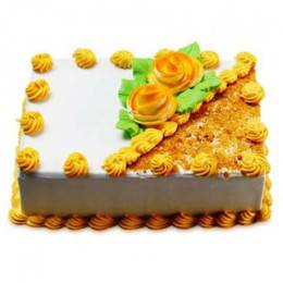 Butterscotch Yumm Cake Buy at ₹549