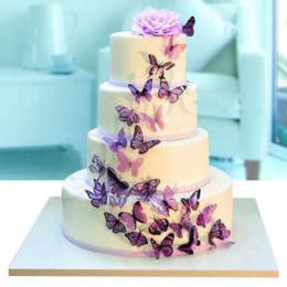 Fourlayer Butterfly Wedding Cake Buy at ₹10999