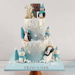 Snowy Surprise Cake Buy at ₹9349