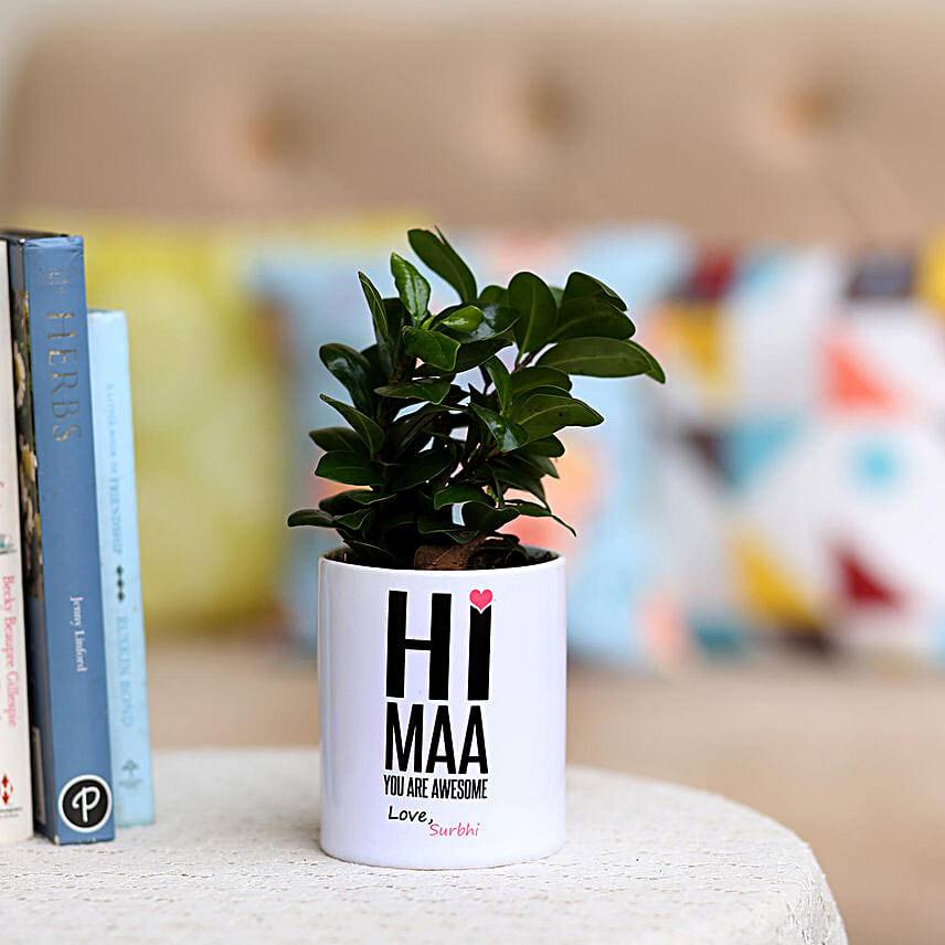 Ficus Compacta In Personalised Awesome Maa Pot