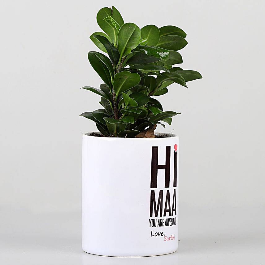 Ficus Compacta In Personalised Awesome Maa Pot