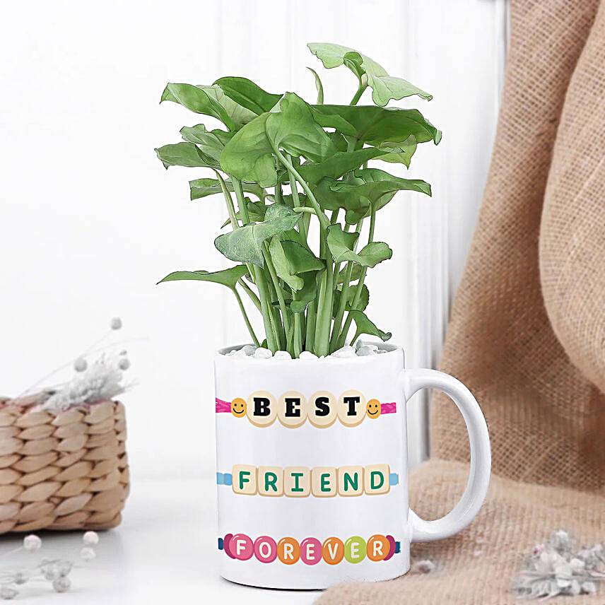 Forever Friends Green Plant
