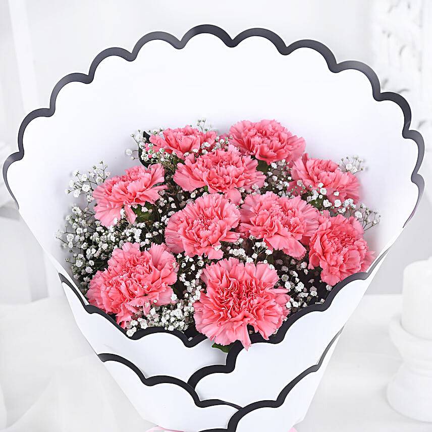 Graceful Carnation Bloom