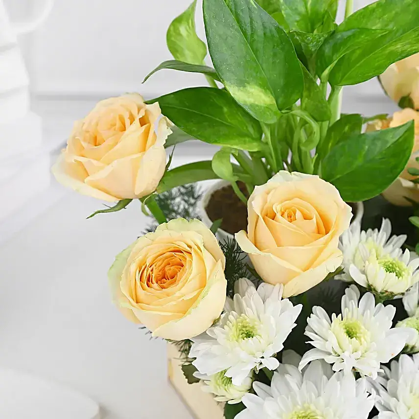 Green Babies & Floral Beauties Gift Tray