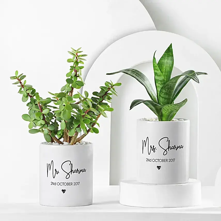 Green Beauties In Personalised Mr & Mrs Mug Gift Set