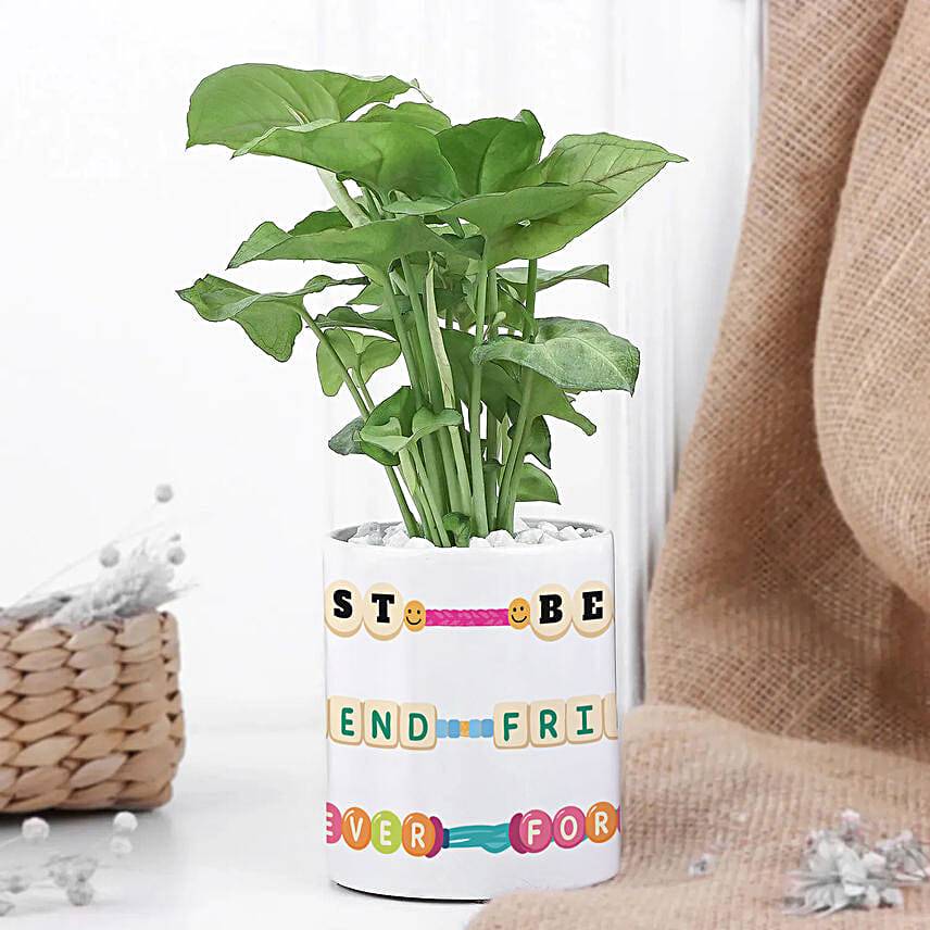Green Bond Bestie Plant