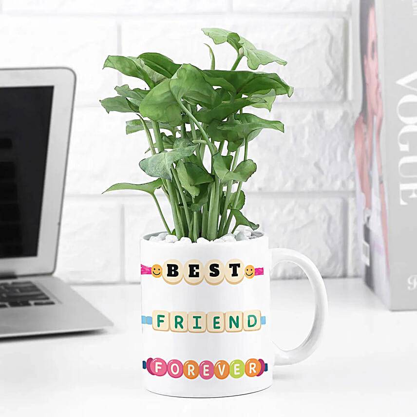 Green Bond Bestie Plant