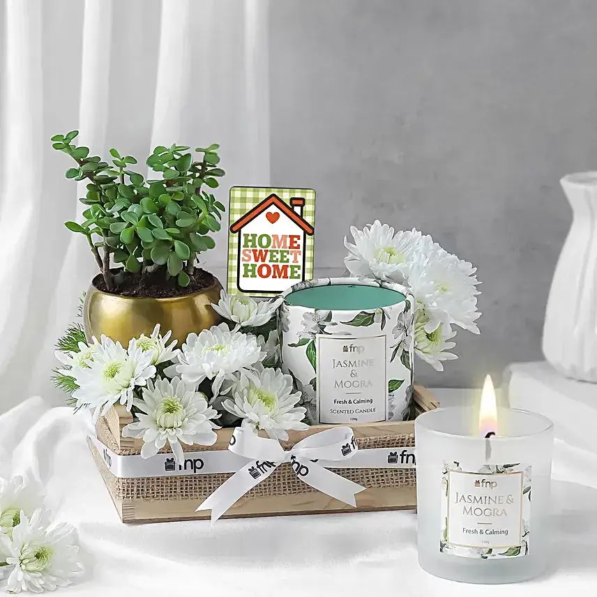 Green Jade Housewarming Gift Set