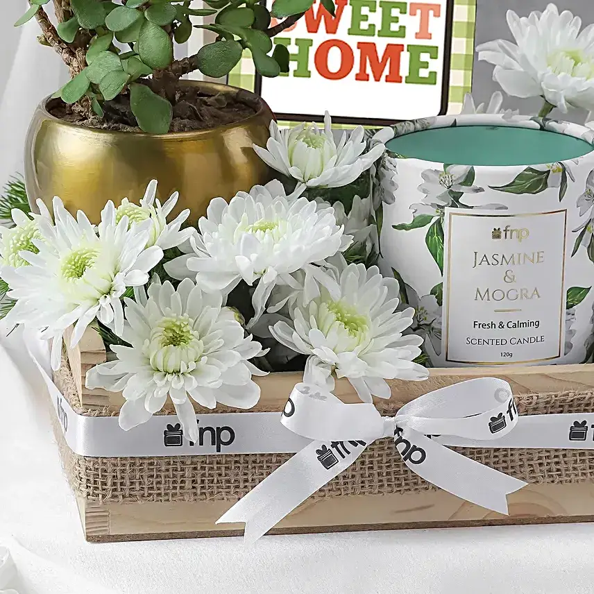 Green Jade Housewarming Gift Set