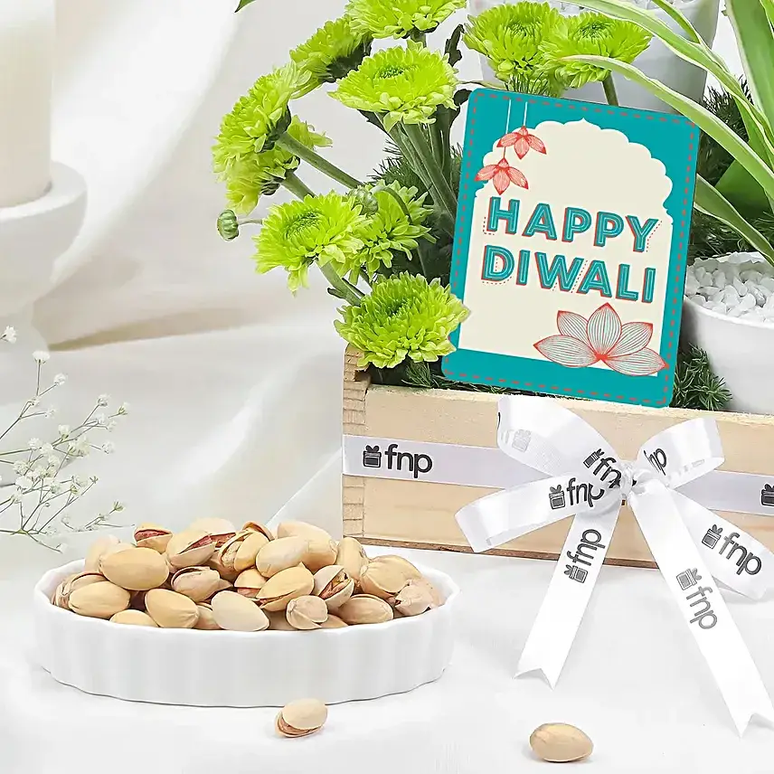 Green Prosperity Plant n Diwali Treats Set