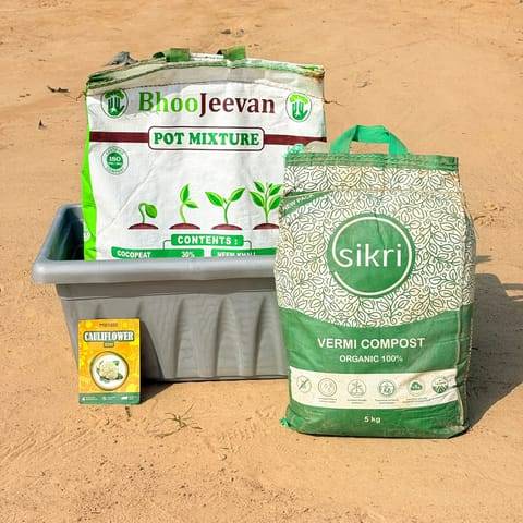 Cauliflower Grow Kit - 20 Inch Grey Window Planter + 10Kg Soil Potting Mix + 5 Kg Vermicompost (Brands may vary)