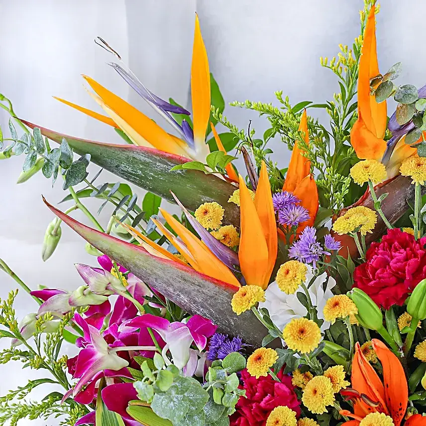 Harmony in Full Bloom