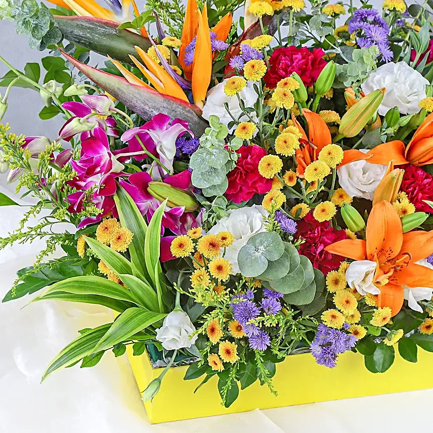 Harmony in Full Bloom