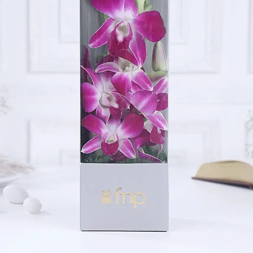 Heartfelt Orchid Elegance