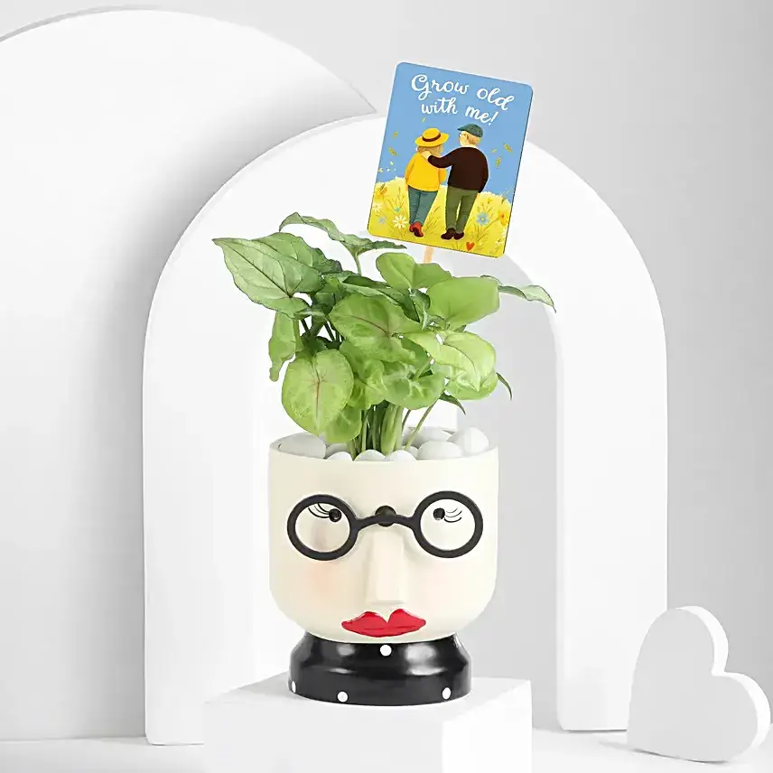 Heartfelt Plant Gift Set