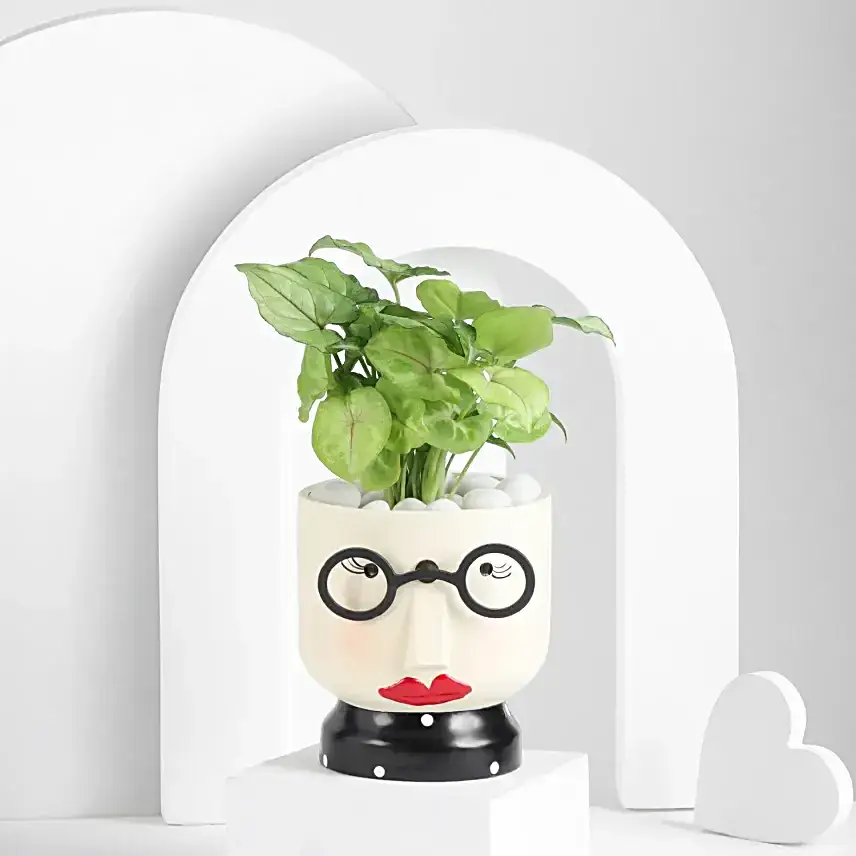 Heartfelt Plant Gift Set