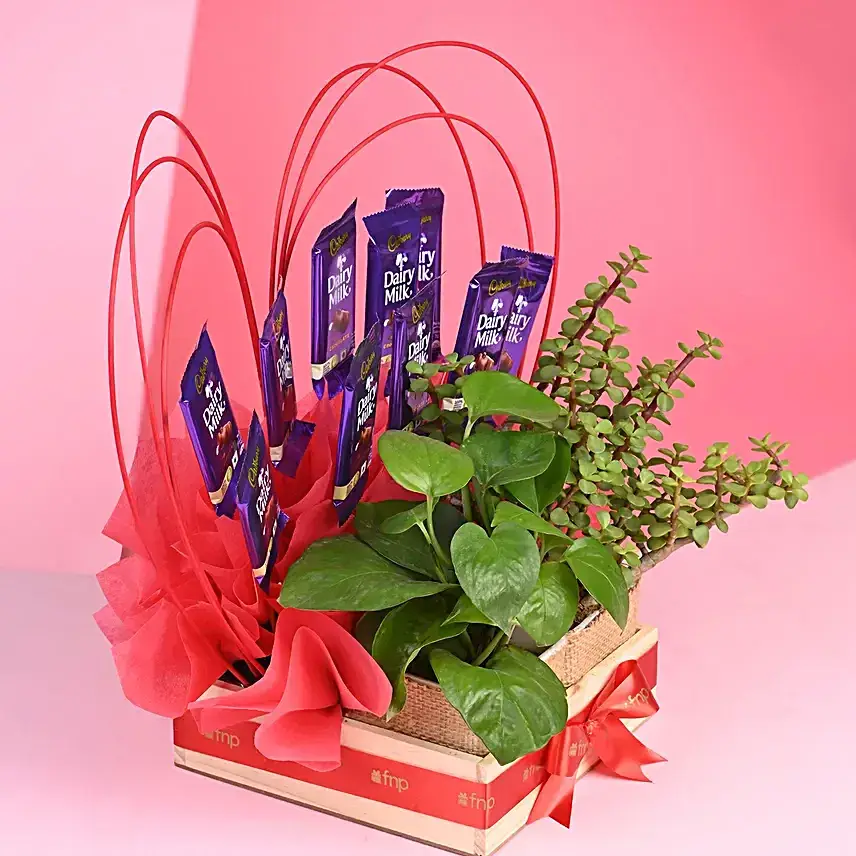 Decadent Heart Chocolate Assortment