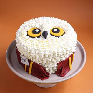 Hedwig Harry Potter Theme Cake