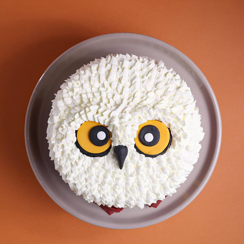 Hedwig Harry Potter Theme Cake