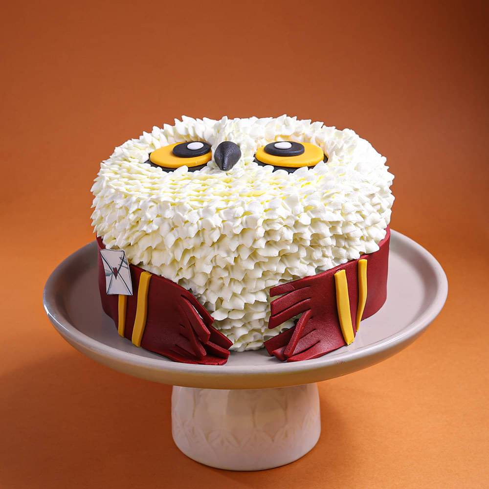Hedwig Harry Potter Theme Cake