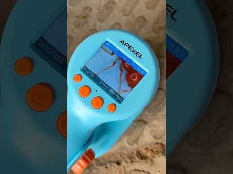 2-in-1 Digital Microscope Kit for Kids | Magnification with Screen (Prepaid Only) Buy @ ₹4999