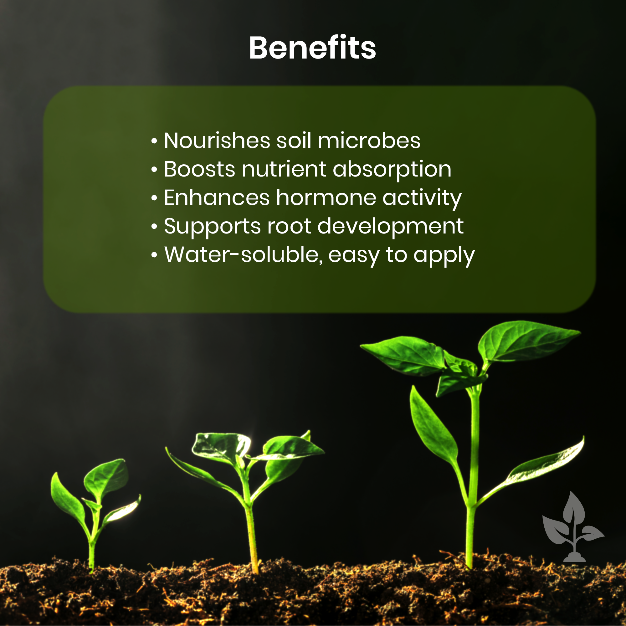 Indokelp – Organic Seaweed Extract Fertilizer for Growth